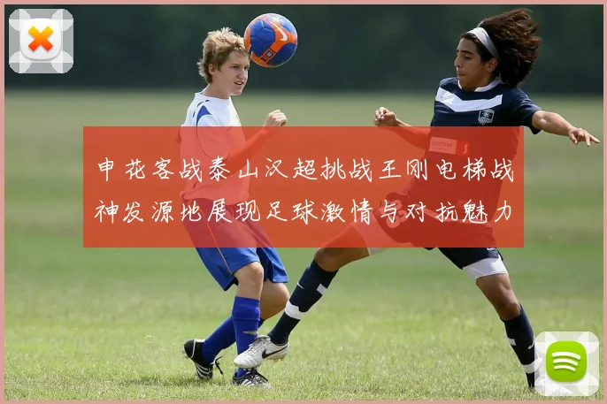 申花客战泰山汉超挑战王刚电梯战神发源地展现足球激情与对抗魅力